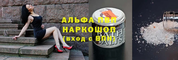 стафф Богородск