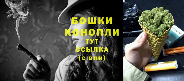 стафф Богородск